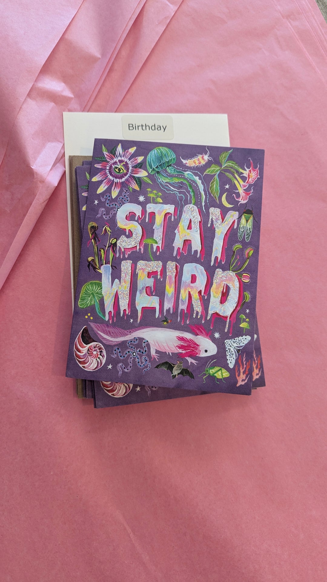 Biely & Shoaf Collection Stay Weird