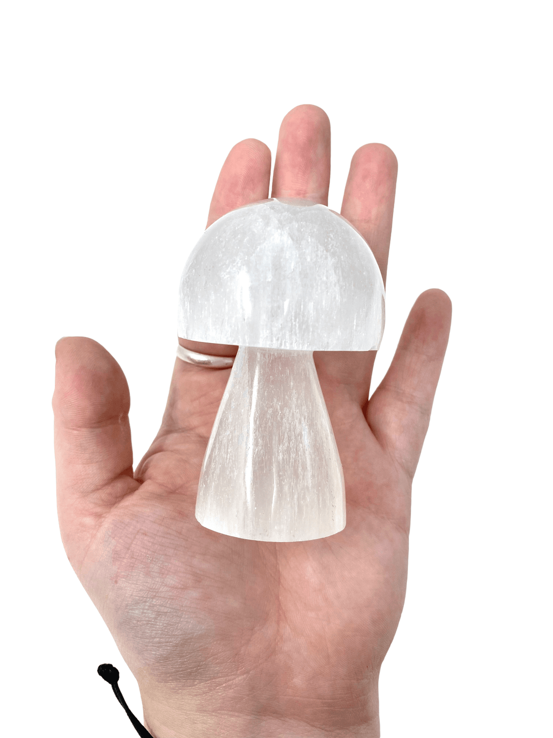 Selenite Mushrooms - Esme and Elodie