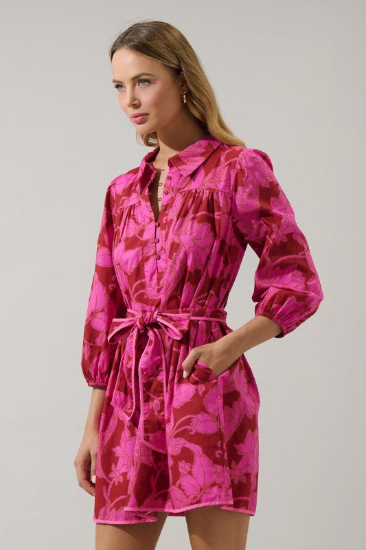 Womens Floral Collared Mini Dress