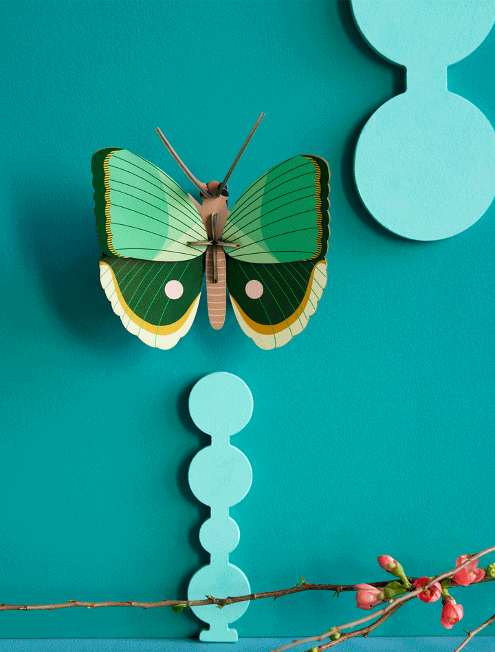 Studio Roof - 3D Wall Art - Butterfly - Fern Striped Butterfly