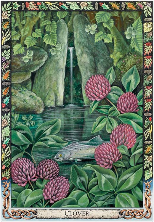 Druid Plant Oracle: 36 Cards and 144 Page Guidebook