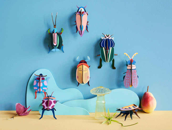 Studio Roof - 3D Wall Art - Insect - Coccinelle Couple