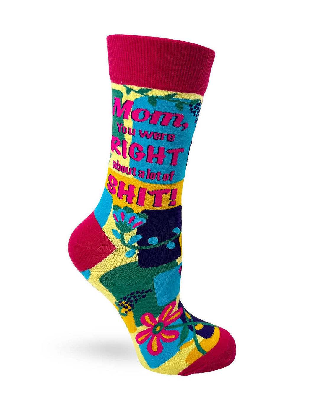 Mom, You Were Right About a Lot of Shit Funny Womens Socks