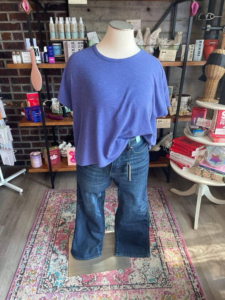 Plus Size Judy Blue Mid Rise Petite Straight Tummy Control