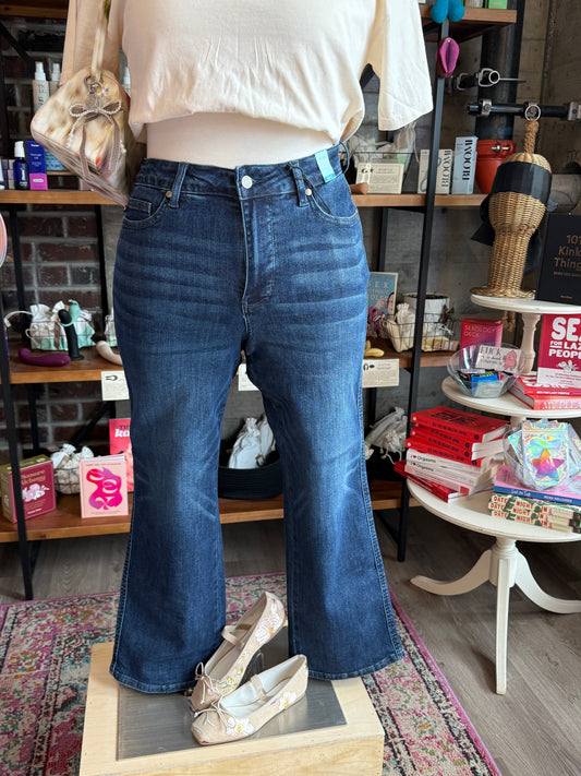 Plus Size Judy Blue Mid Rise Petite Straight Tummy Control Dark