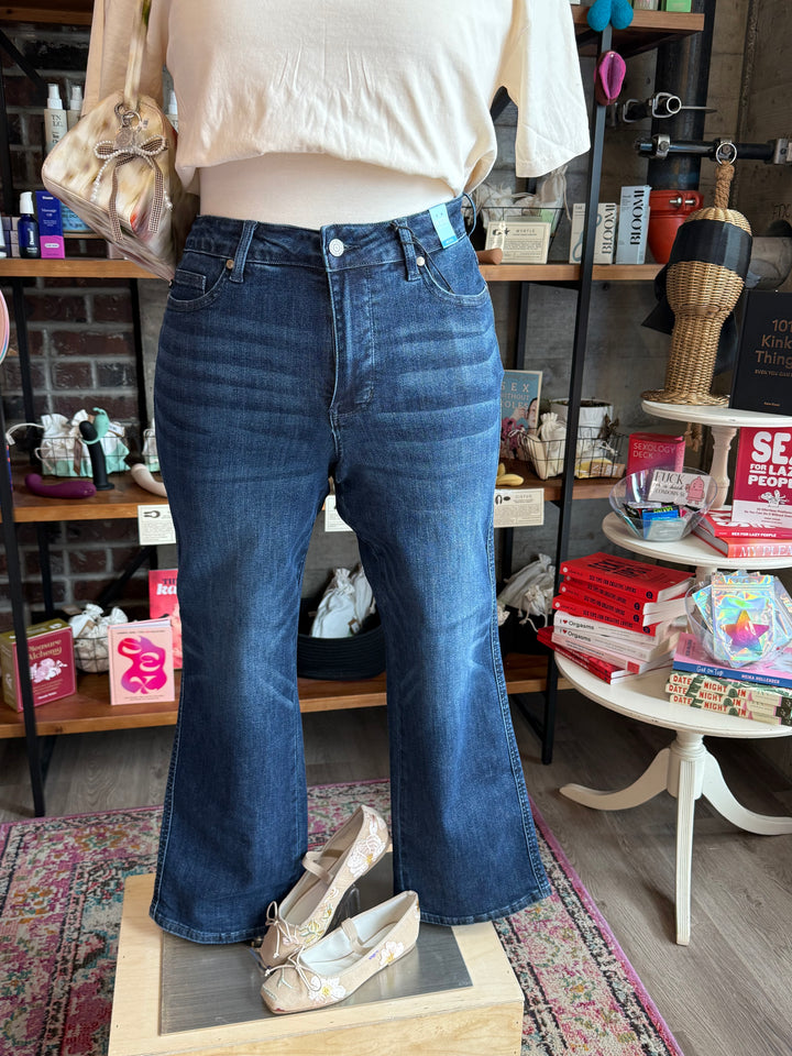 Plus Size Judy Blue Mid Rise Petite Straight Tummy Control