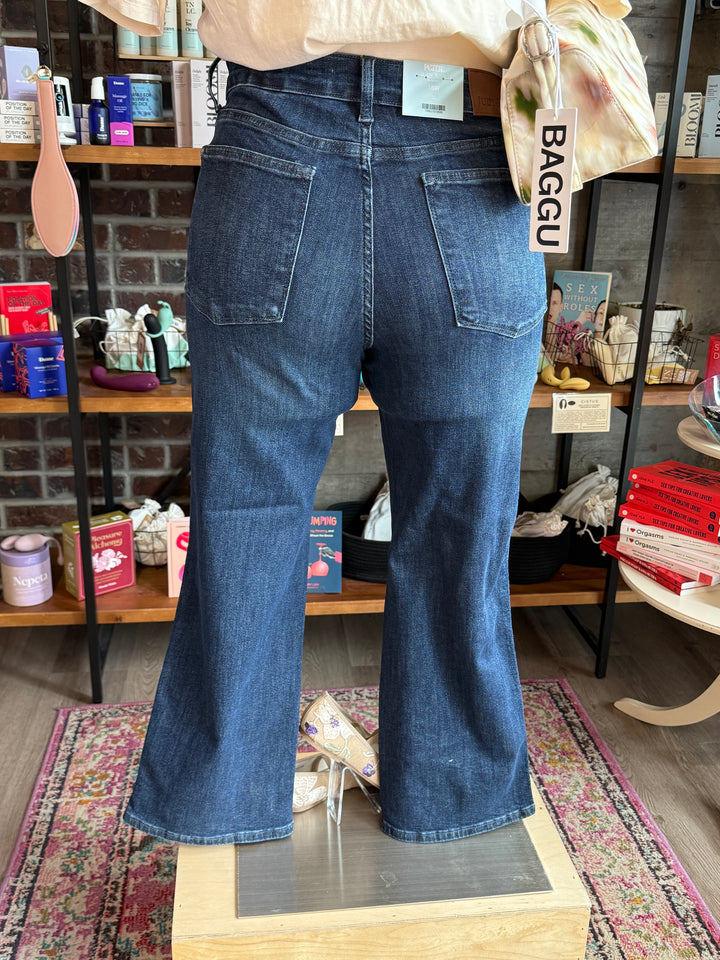 Plus Size Judy Blue Mid Rise Petite Straight Tummy Control