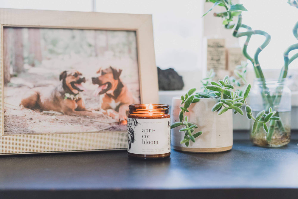 Broken Top Brands - Apricot Bloom - 9 oz Soy Candle - Esme and Elodie