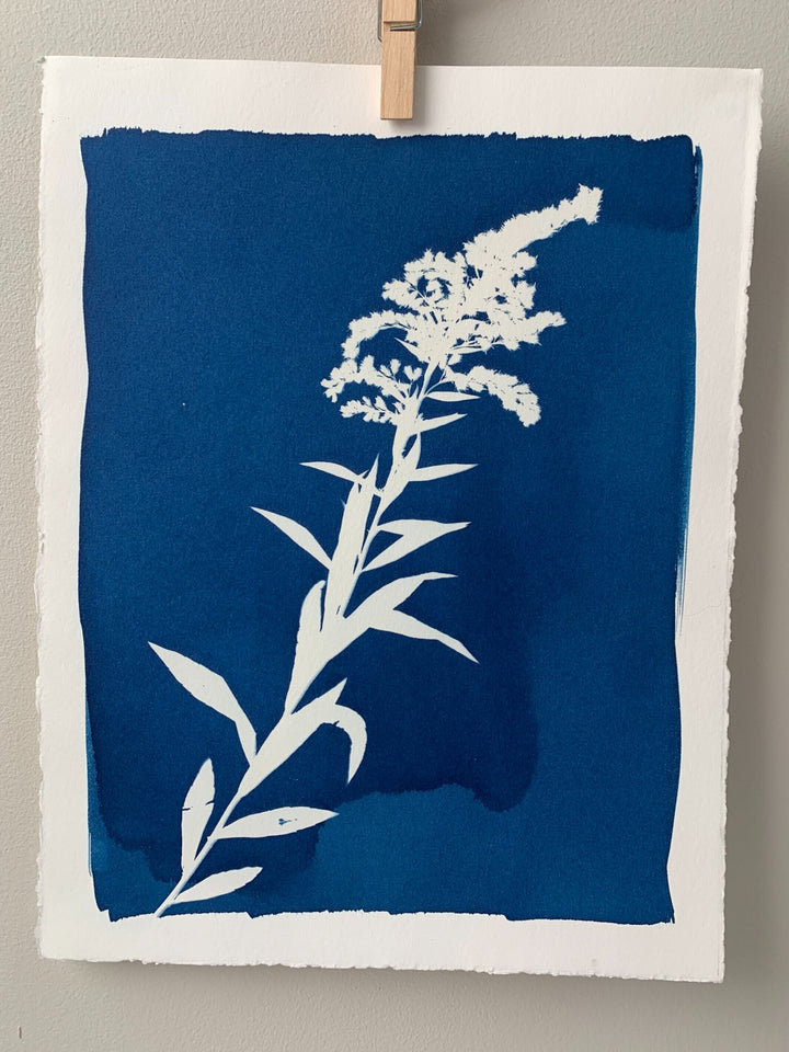 Introduction to Cyanotype Printing- Friday June 30th 7-9PM
