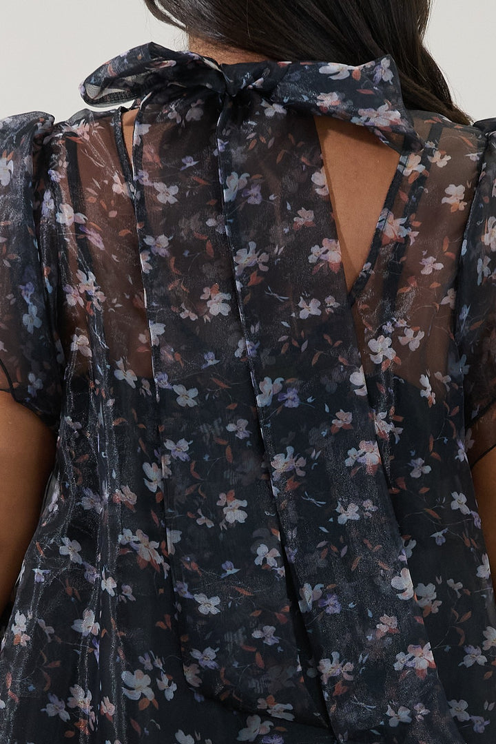 Plus Black Multi Floral Organza Mini Shift Dress