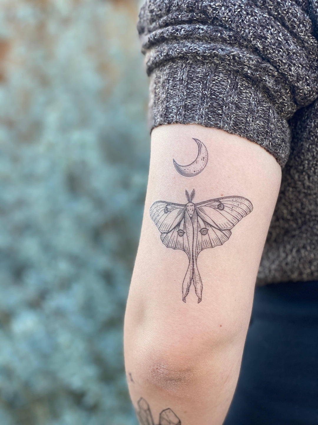 Luna Moth Temporary Tattoo - Esme and Elodie