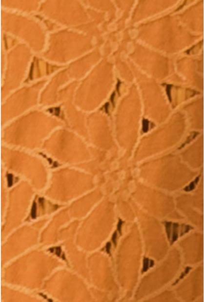 Pumpkin Nice Latte- women's floral lace mini dress - Esme and Elodie