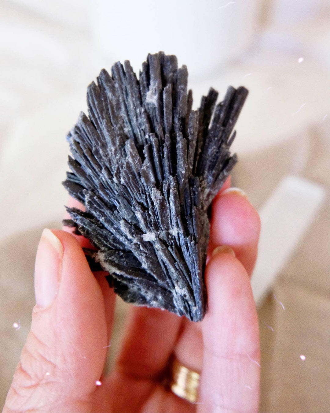 Raw Black Kyanite | Goddess Provisions - Esme and Elodie